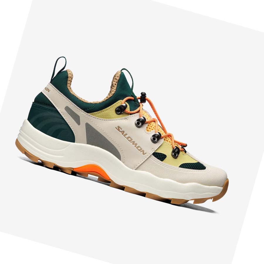 Salomon RAID WIND Sneakers Herr Beige | SE195MQZ