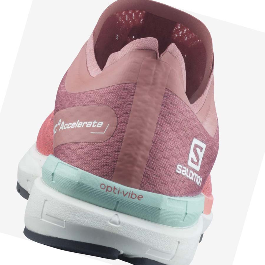 Salomon SONIC 4 Accelerate Löparskor Dam Rosa | SE900VRW