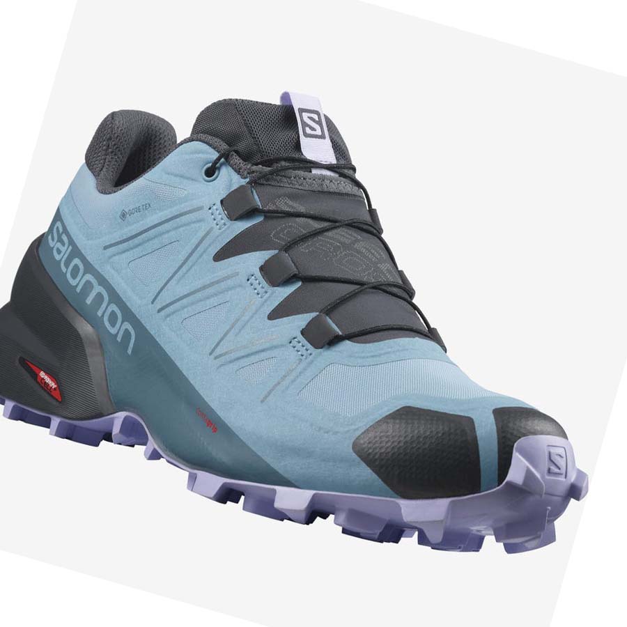 Salomon SPEEDCROSS 5 GORE-TEX Trail löparskor Dam Blå | SE868EBC