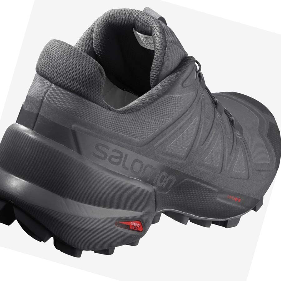 Salomon SPEEDCROSS 5 Trail löparskor Herr Silver | SE109ILH