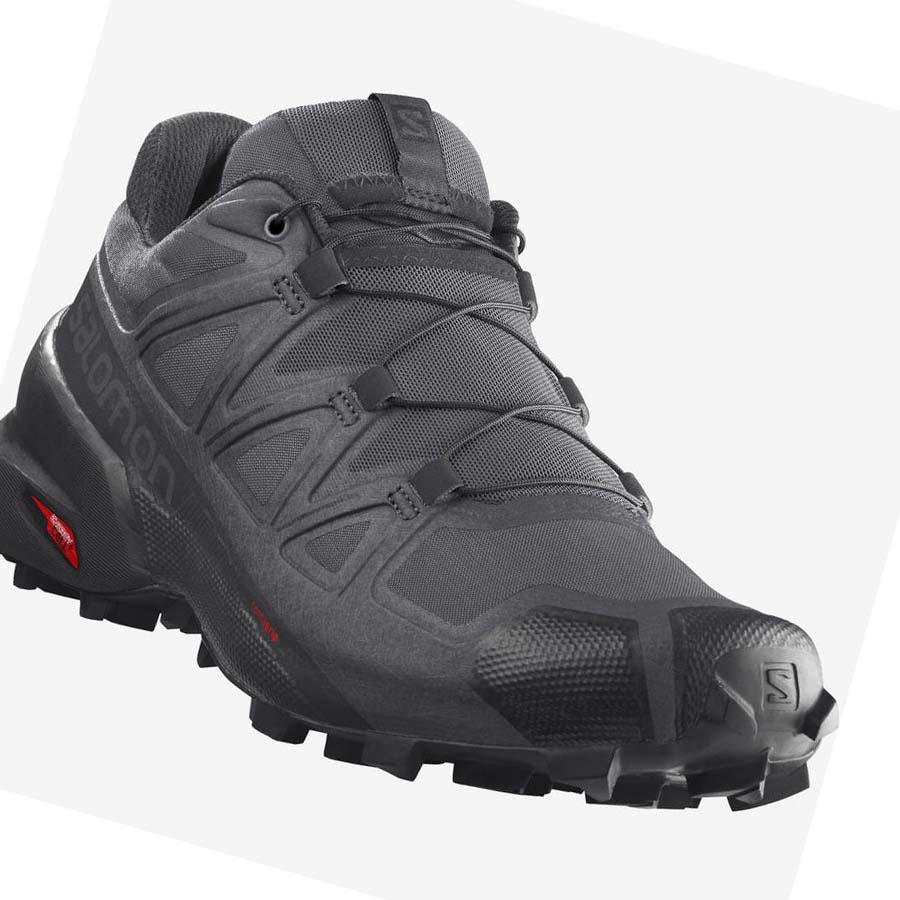 Salomon SPEEDCROSS 5 Trail löparskor Herr Silver | SE109ILH