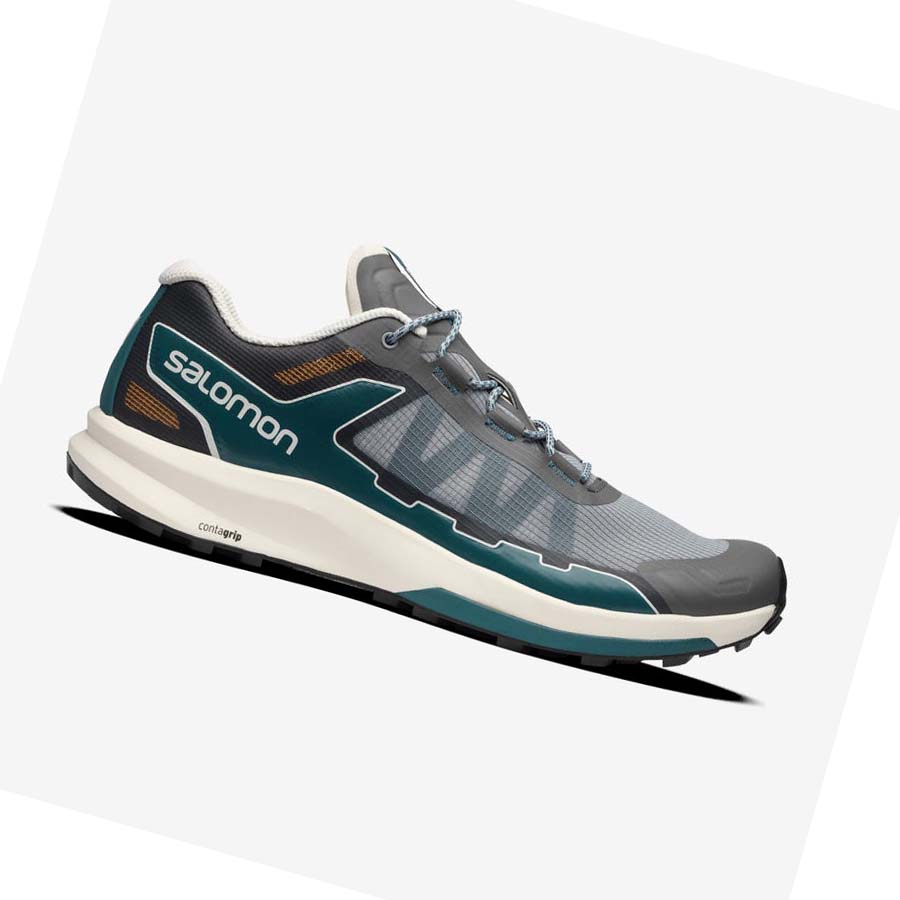 Salomon ULTRA RAID Sneakers Dam Grå | SE996TCE