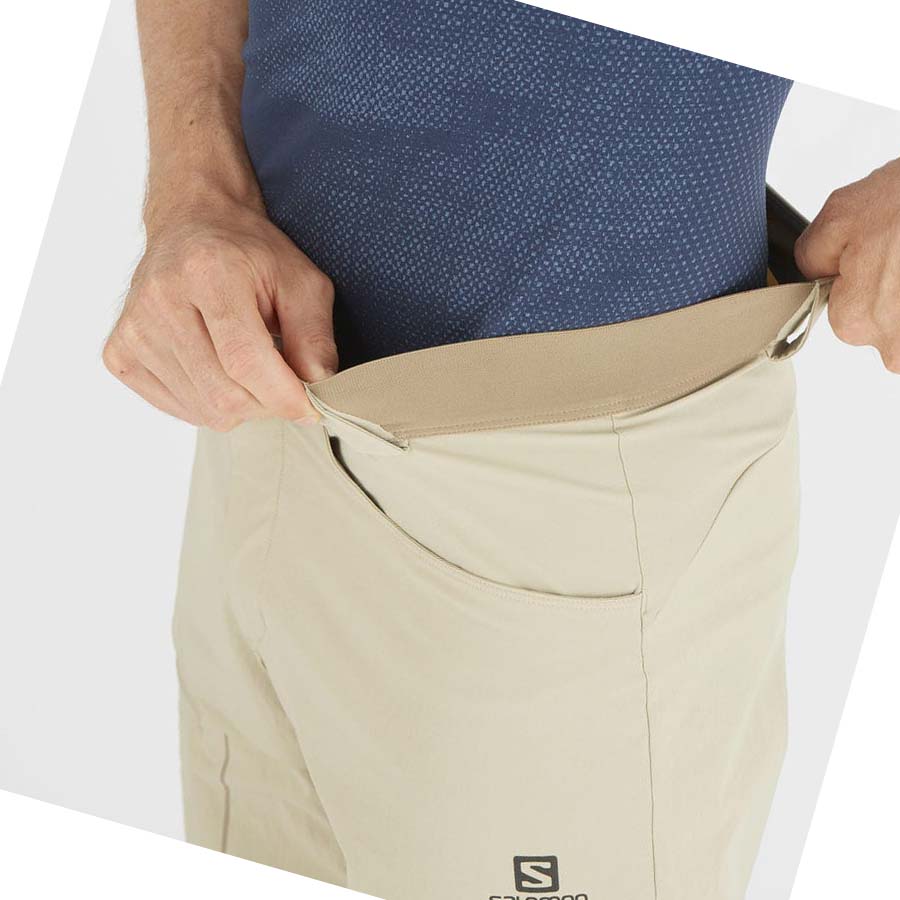 Salomon WAYFARER Shorts Herr Beige | SE479WNB