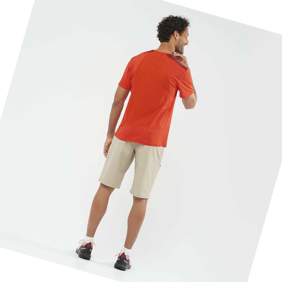 Salomon WAYFARER Shorts Herr Beige | SE479WNB