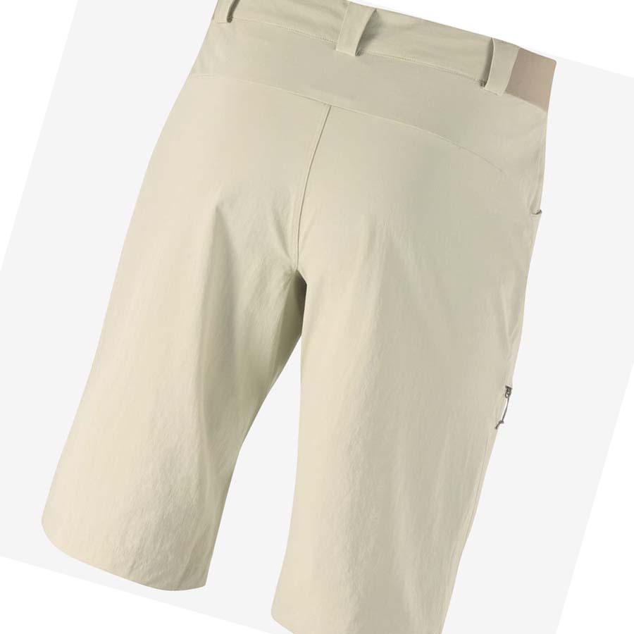 Salomon WAYFARER Shorts Herr Beige | SE479WNB