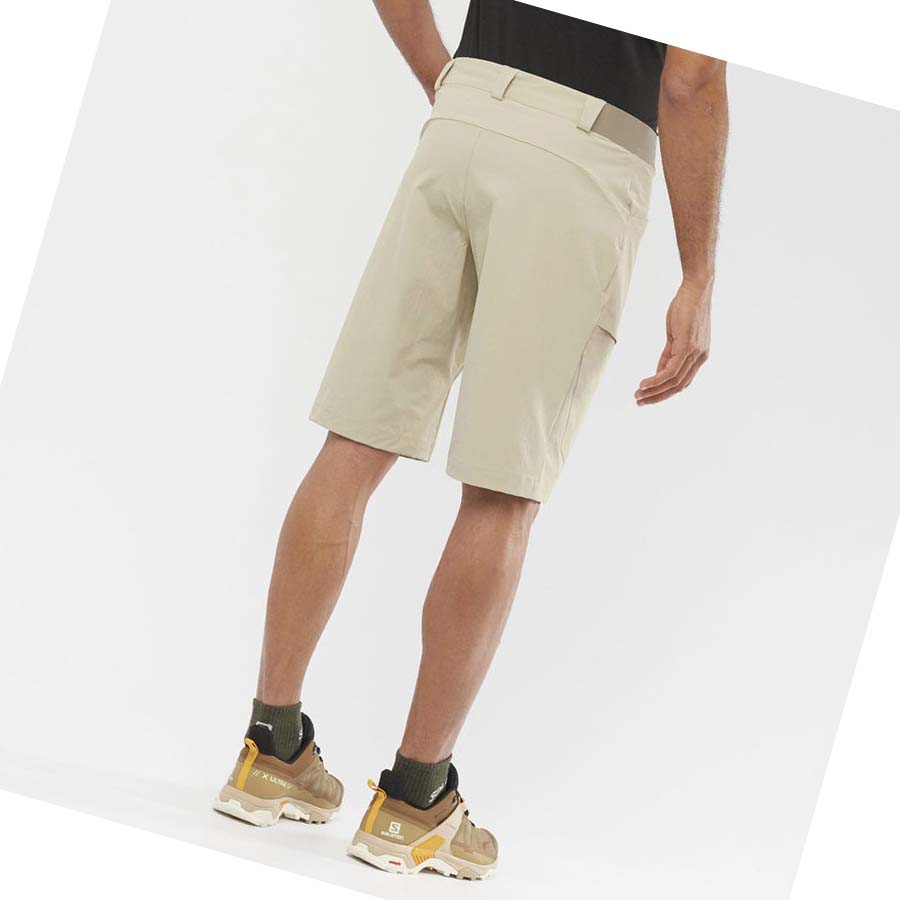 Salomon WAYFARER Shorts Herr Beige | SE479WNB