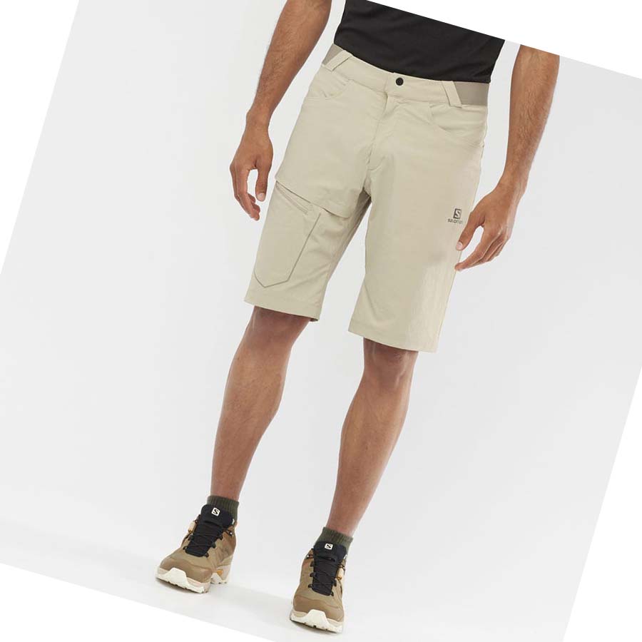 Salomon WAYFARER Shorts Herr Beige | SE479WNB