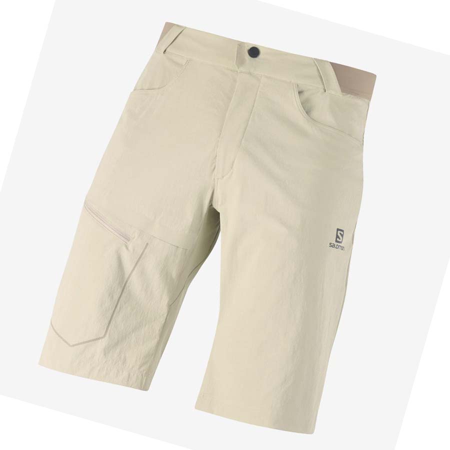 Salomon WAYFARER Shorts Herr Beige | SE479WNB