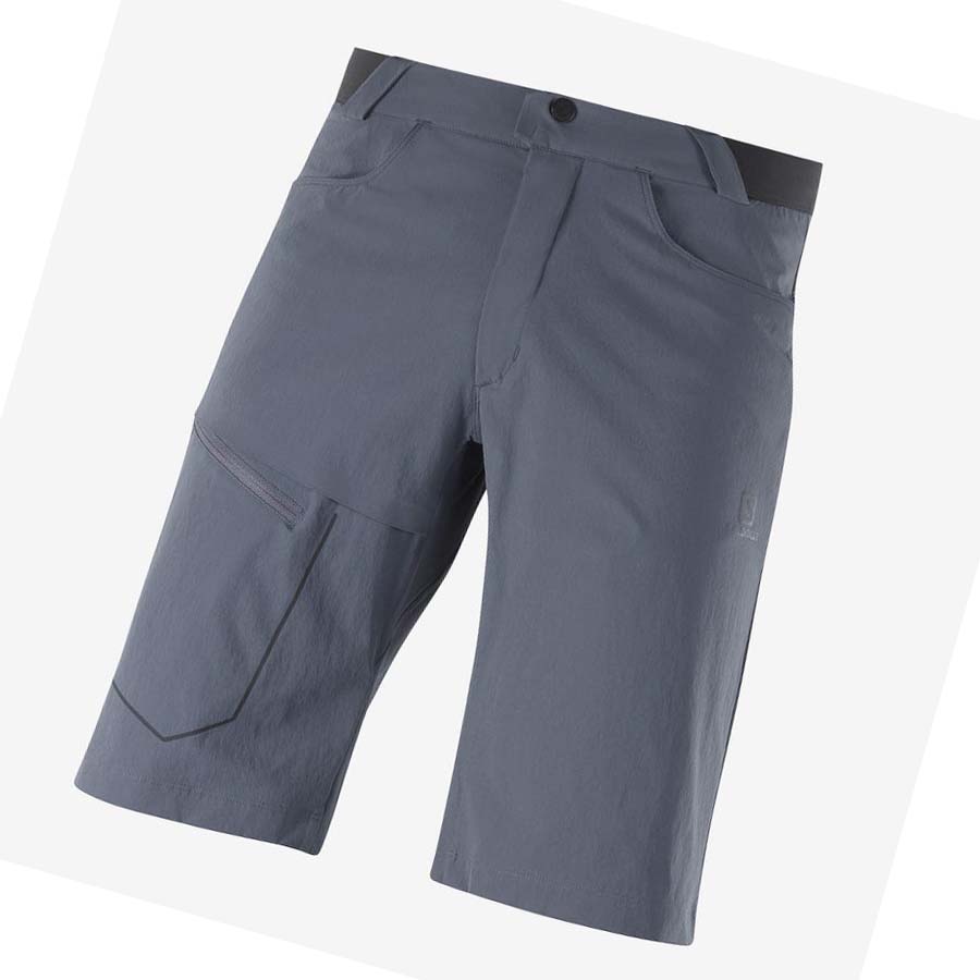 Salomon WAYFARER Shorts Herr Grå | SE476TCE