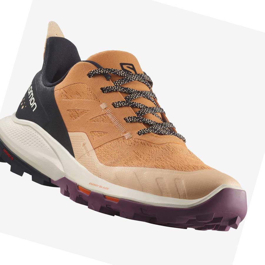 Salomon WoOUTPULSE GORE-TEX Vandringsskor Dam Bruna | SE787YXF