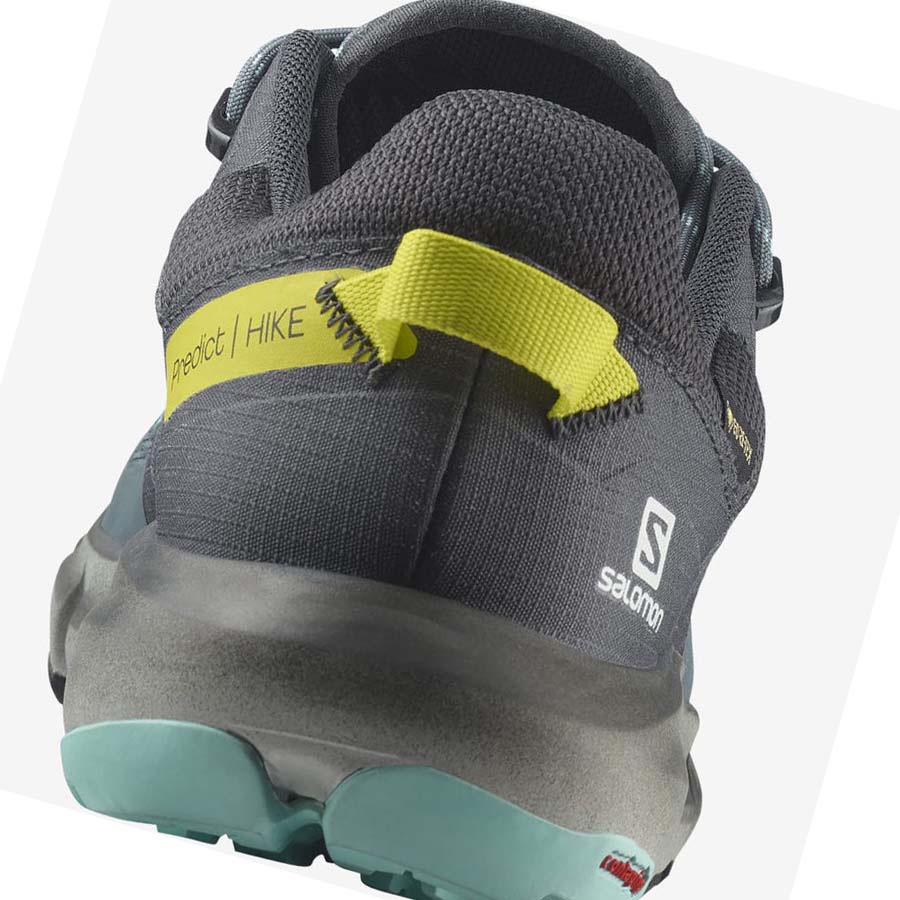 Salomon WoPREDICT HIKE GORE-TEX Vandringsskor Dam Silver | SE837ILH