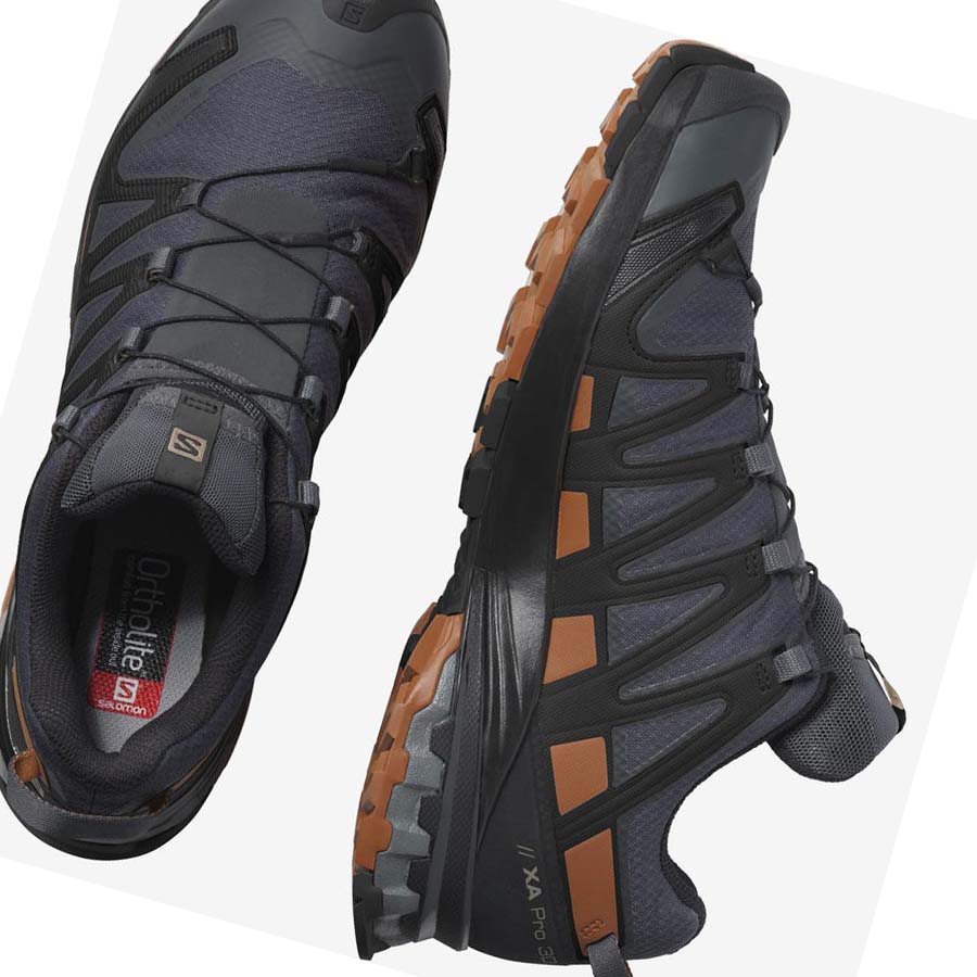 Salomon XA PRO 3D v8 GORE-TEX Trail löparskor Herr Silver | SE118NWY