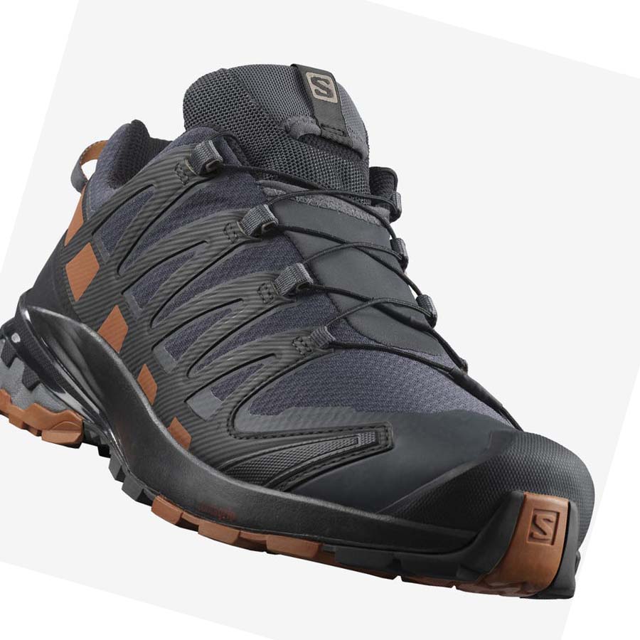 Salomon XA PRO 3D v8 GORE-TEX Trail löparskor Herr Silver | SE118NWY