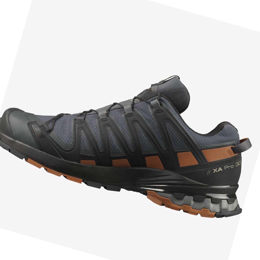 Salomon XA PRO 3D v8 GORE-TEX Trail löparskor Herr Silver | SE118NWY