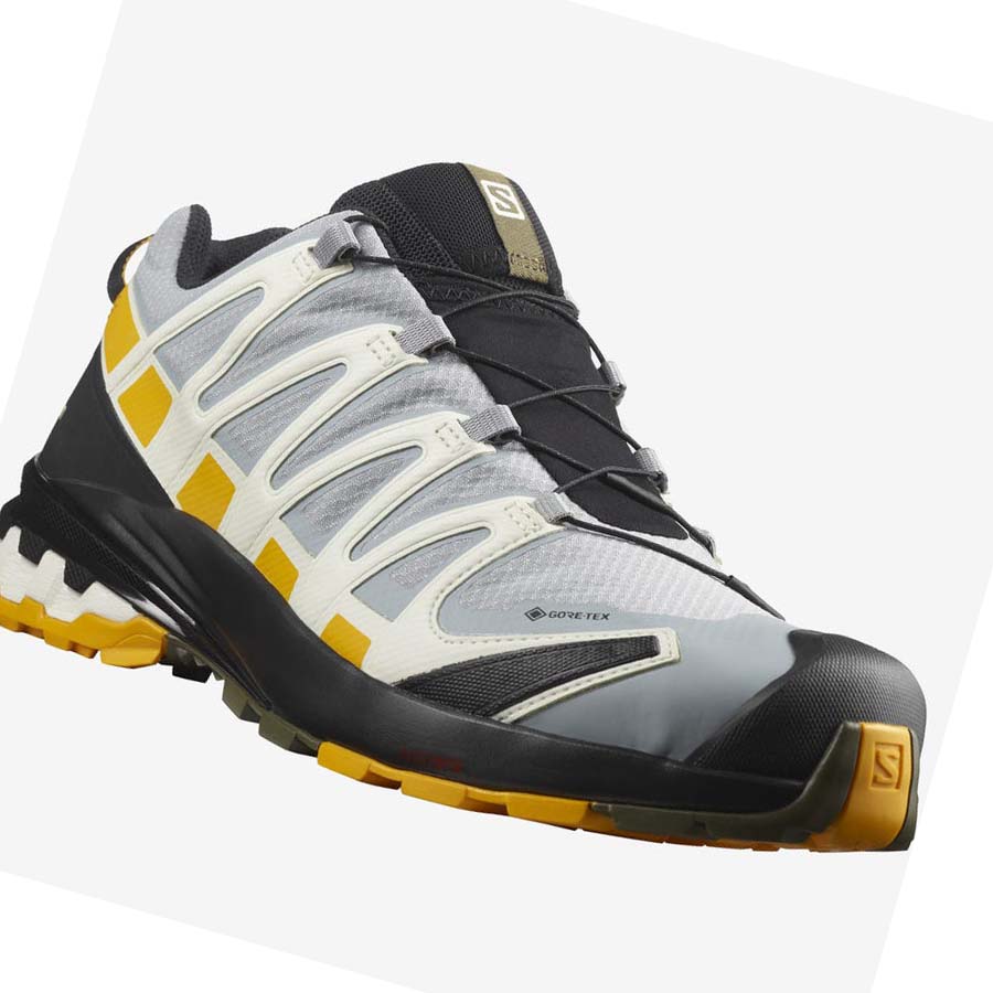 Salomon XA PRO 3D v8 GORE-TEX Vandringsskor Herr Silver | SE41BEX