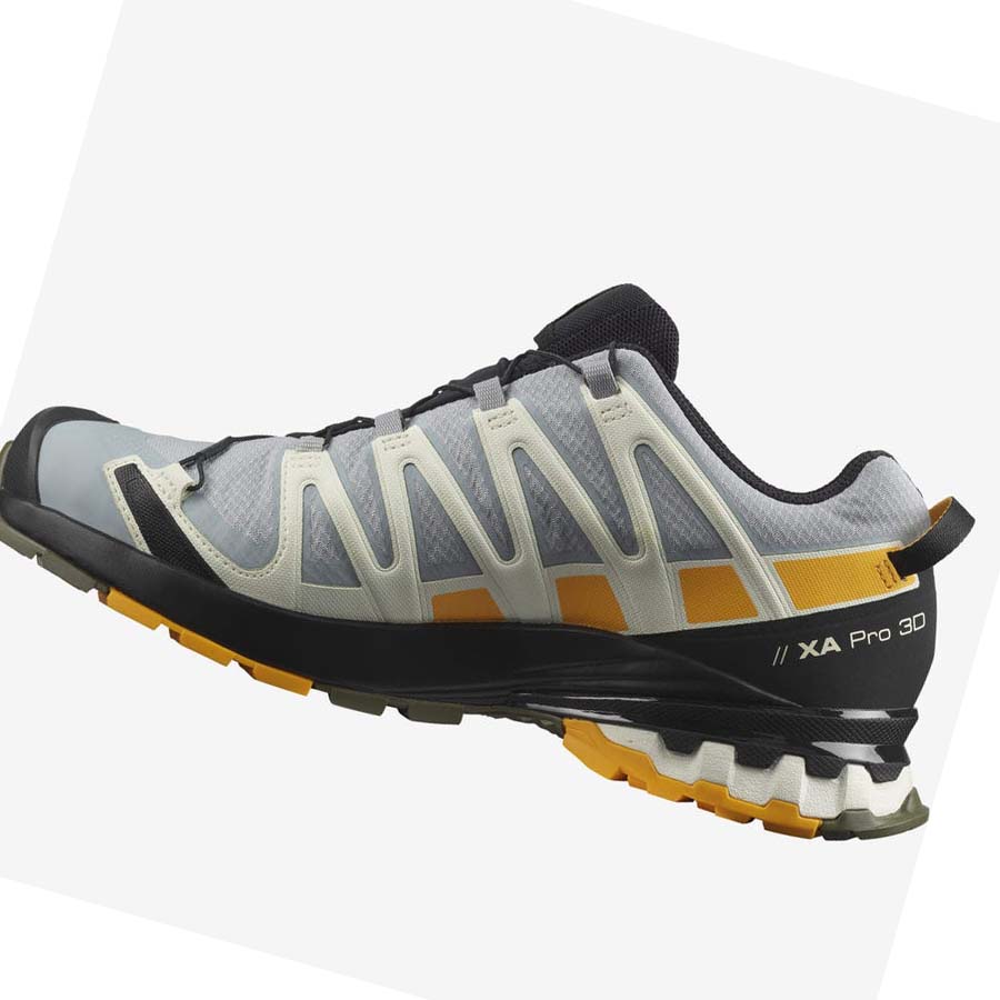 Salomon XA PRO 3D v8 GORE-TEX Vandringsskor Herr Silver | SE41BEX