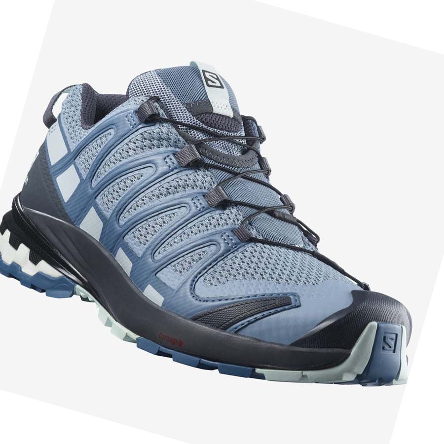 Salomon XA PRO 3D v8 Trail löparskor Dam Silver | SE855HAP