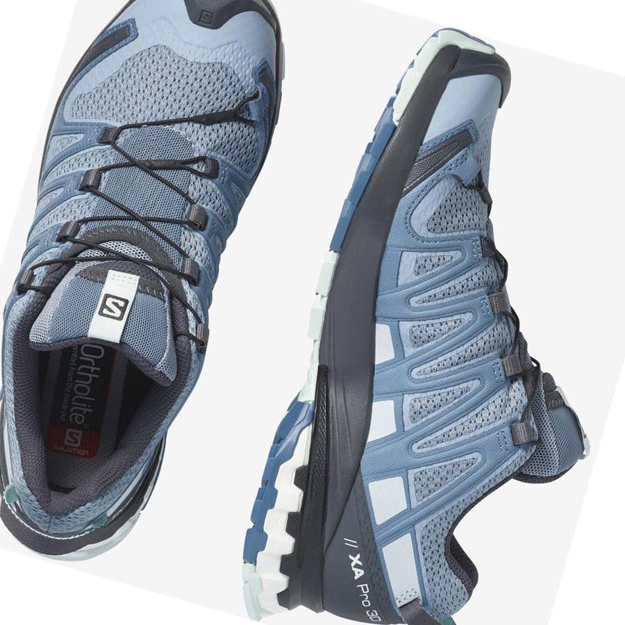 Salomon XA PRO 3D v8 Trail löparskor Dam Silver | SE855HAP