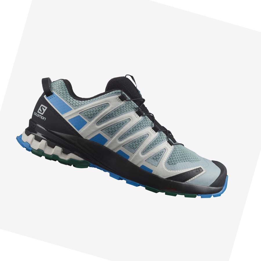 Salomon XA PRO 3D v8 Trail löparskor Herr Mintgröna | SE100JPQ