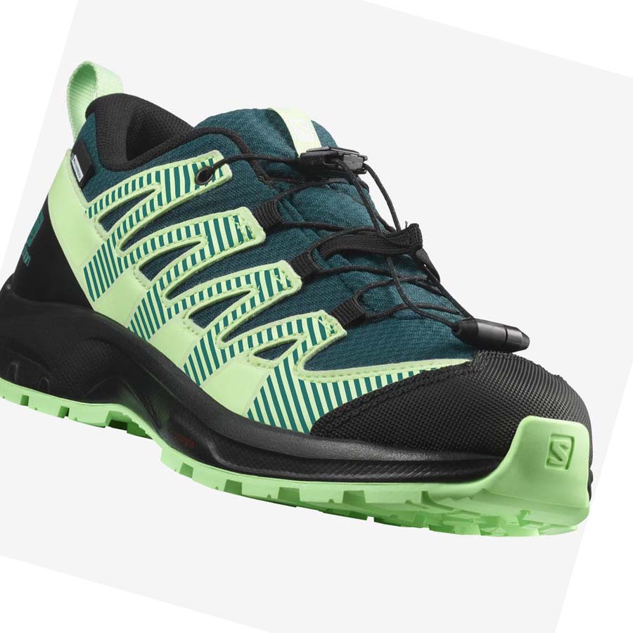 Salomon XA PRO V8 CLIMASALOMON™ WATERPROOF Vandringsskor Barn Gröna | SE1589EBC