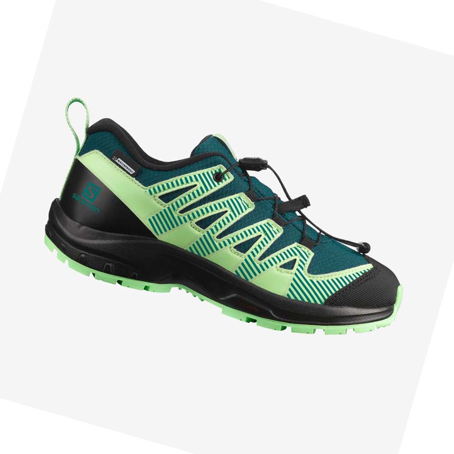 Salomon XA PRO V8 CLIMASALOMON™ WATERPROOF Vandringsskor Barn Gröna | SE1589EBC