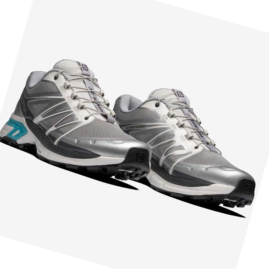 Salomon XT-WINGS 2 ADVANCED Sneakers Dam Silver | SE930LIS