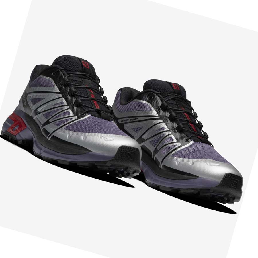 Salomon XT-WINGS 2 Sneakers Herr Silver | SE215YXF