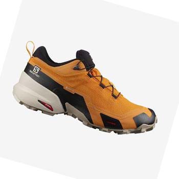 Salomon CROSS HIKE GORE-TEX Vandringsskor Herr Orange | SE19ZUT