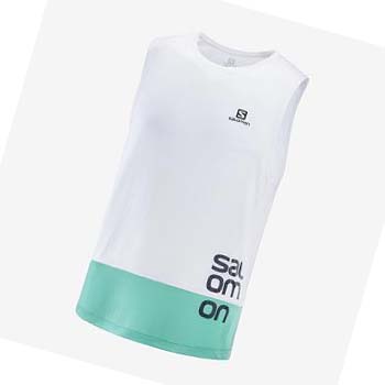 Salomon CROSS RUN GRAPHIC T-shirt Herr Vita | SE391SGL