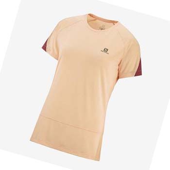 Salomon CROSS RUN T-shirt Dam Beige | SE1082VRW