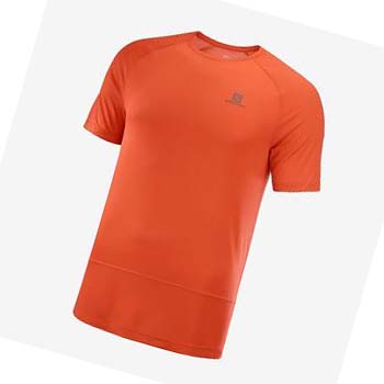 Salomon CROSS RUN T-shirt Herr Orange | SE395ILH