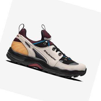 Salomon RAID WIND ADVANCED Sneakers Herr Beige | SE170NWY