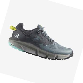 Salomon WoPREDICT HIKE GORE-TEX Vandringsskor Dam Silver | SE837ILH