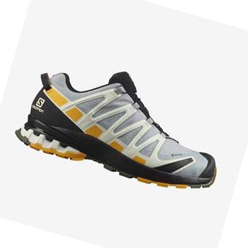 Salomon XA PRO 3D v8 GORE-TEX Trail löparskor Herr Svarta Grå | SE120VRW