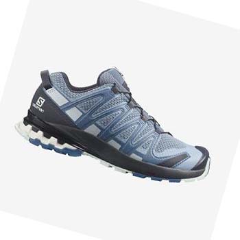 Salomon XA PRO 3D v8 Trail löparskor Dam Silver | SE855HAP