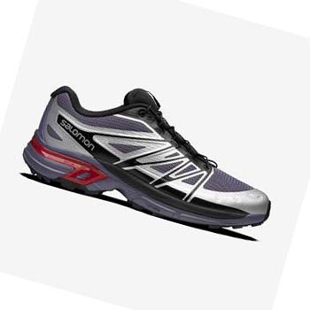 Salomon XT-WINGS 2 Sneakers Herr Silver | SE215YXF